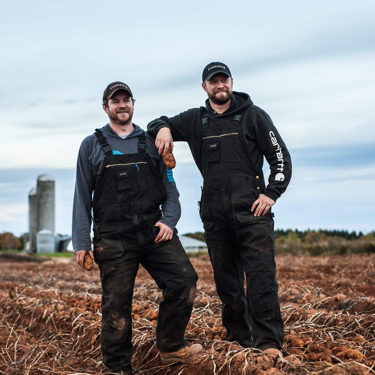 PEI Potatoes tweet media