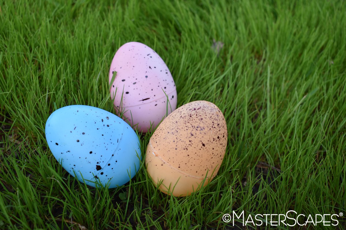 TheMasterScapes's tweet image. My Abilene Parks and Recreation is having an Evening Easter Egg Hunt at 7 PM on Saturday, April 13th at the Lee Athletic Complex. Bring family members of all ages to spend quality time outdoors gathering eggs and taking photos with the Easter bunny!