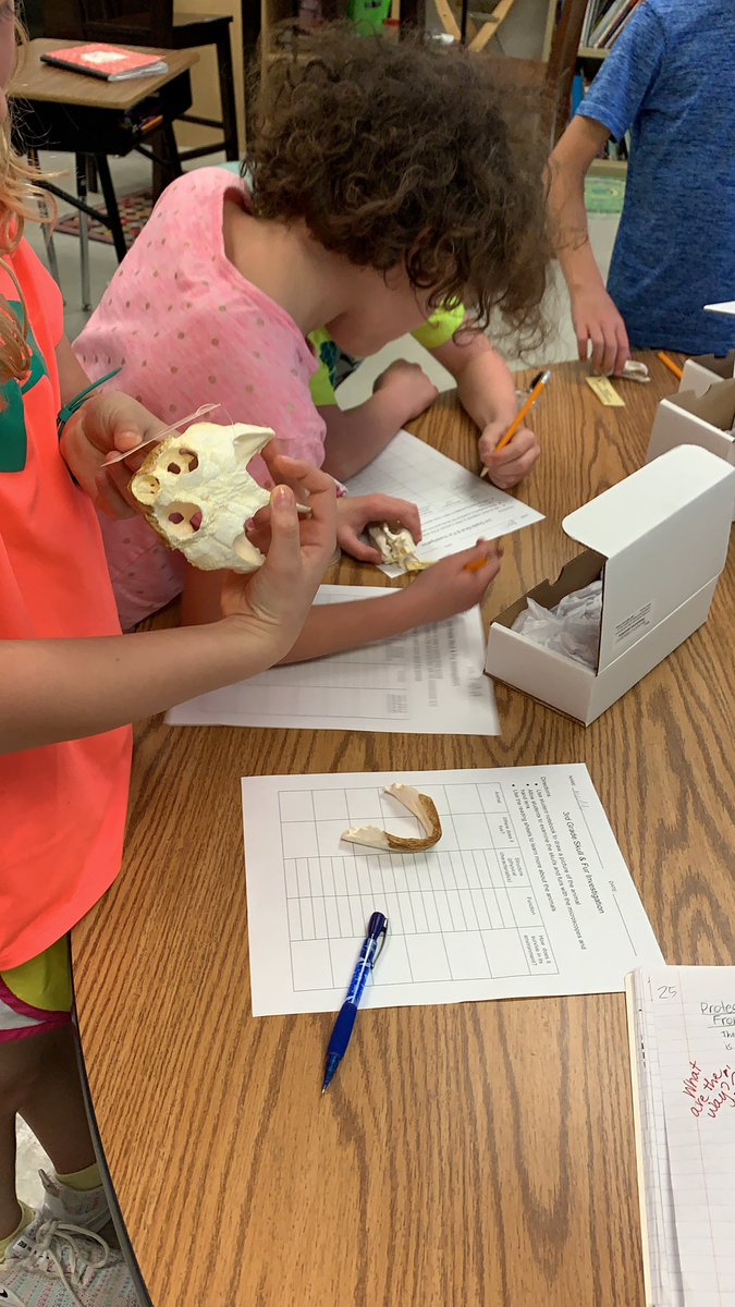 kggreen59's tweet photo. Skulls and Furs Investigation https://t.co/HIvdxr8ncs