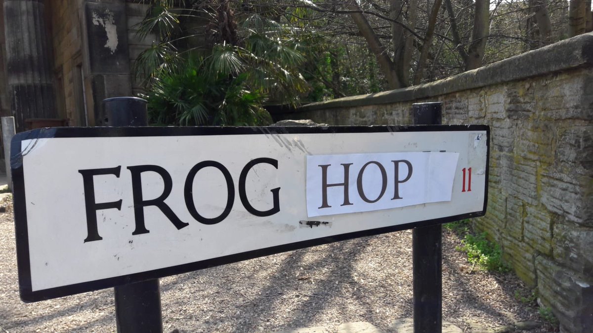 SheffieldGenCem's tweet photo. Frog humour on Frog Walk... author unknown. ๐ธ
#sheffieldgeneralcemetery #frogwalk #froghop #streetnames #sharrowvale #porterbrook #frog #froghumour https://t.co/1LXhZApDrM