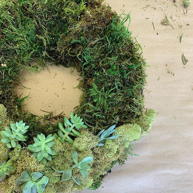 TheDevilishEgg's tweet photo. Freshly-crafted greenery on beautiful Spring Day.💛 #succulents #succulentwreath #spring #beautyofspring #craft #makesomething #createeveryday #nature #hatchyourcreativity #thedevilishegg https://t.co/C6mbEA4D9f https://t.co/QseRdPzDmO