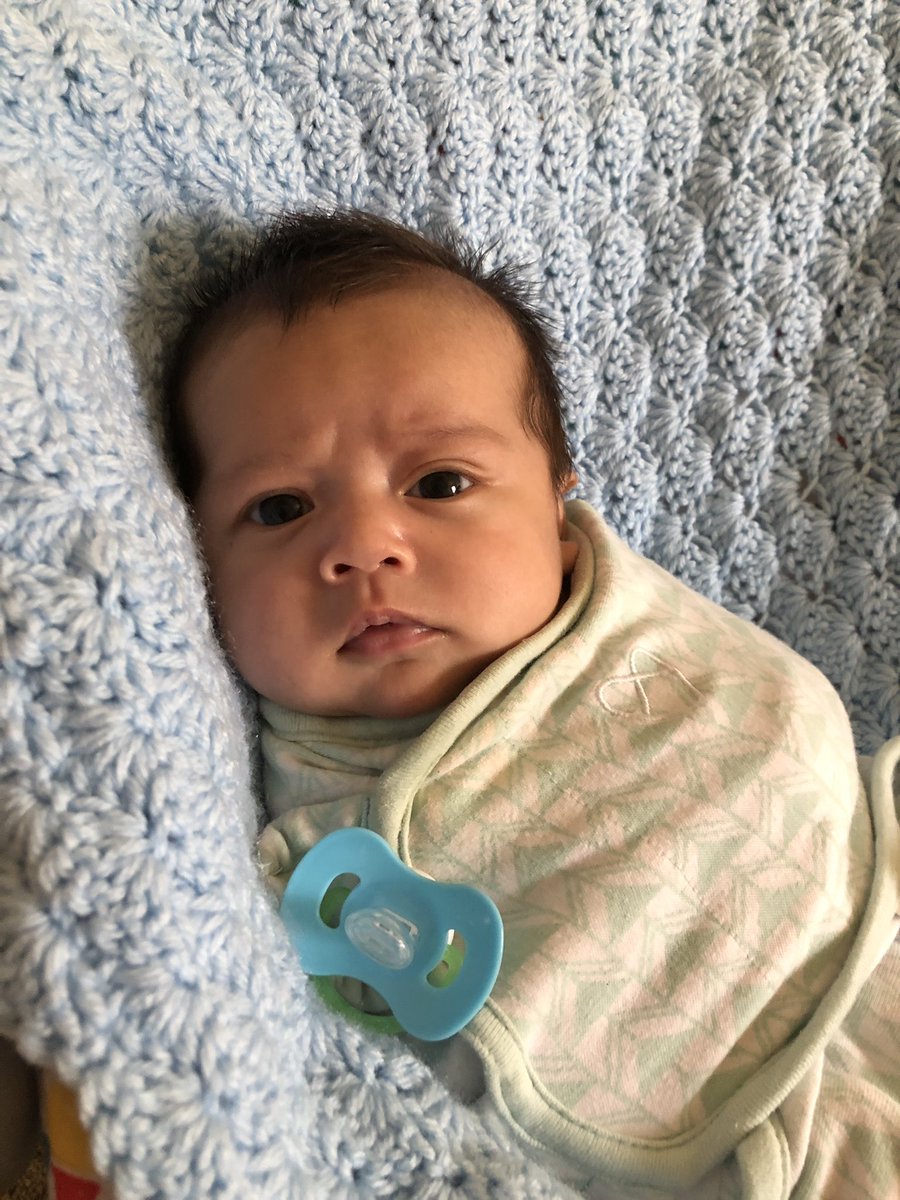 SCG_Nick's tweet photo. Before vs after I showed him a picture of his mama! 💕💕💕 https://t.co/19lPIwFotQ
