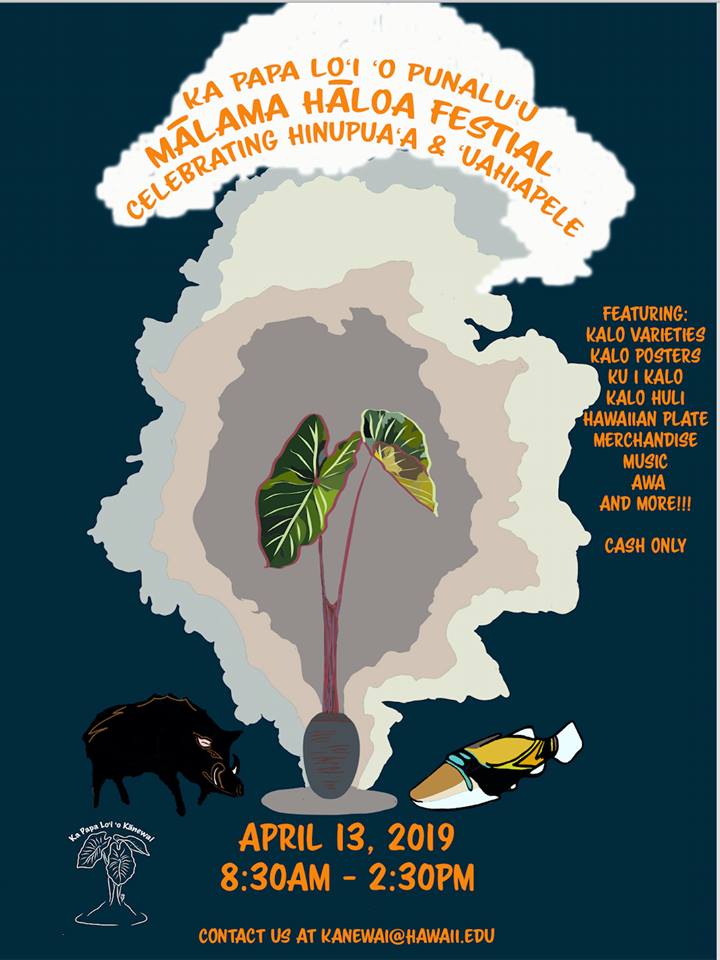 KSNews's tweet photo. Ka Papa Lo'i 'o Kānewai has partnered w/ KS to host the Mālama Hāloa Festival on Saturday (8:30 am-2:30 pm) at Punalu‘u Ahupua‘a Farms (53-270 Kamehameha Highway), which will feature kalo, artwork, Hawaiian food, merchandise, music &amp; more. Email Kanewai@hawaii.edu #malamahaloa https://t.co/PzMuDiALU6