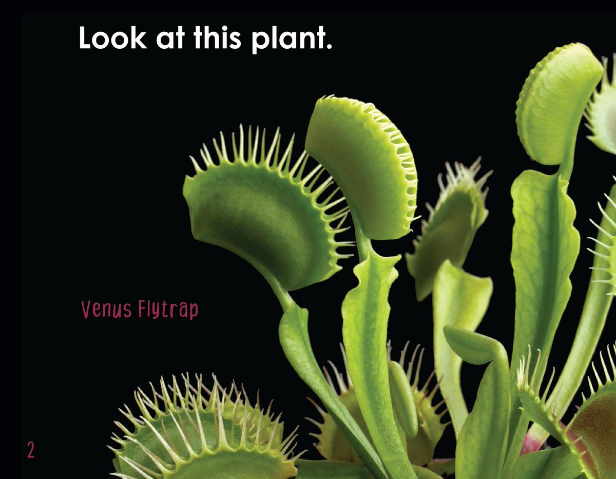 ARC Press tweet media