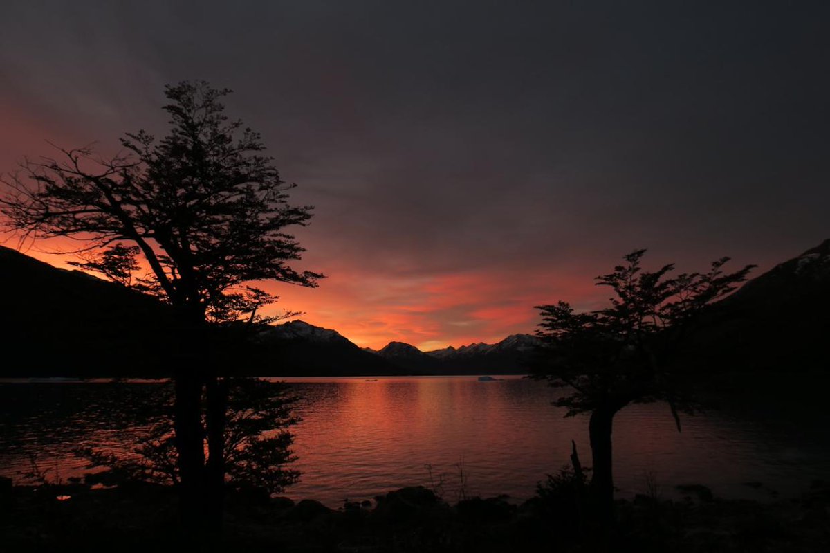 LANDED Travel tweet media