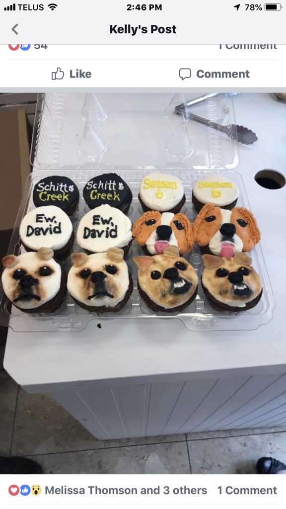LouiseDowns's tweet photo. 10k FB group-Schitt’s Creek Fans Shoot The Schitt-delivered treats to cast, crew &amp; dogs &amp; $3k donation collected by generous members for the LGBT Youthline we ❤️Schitt’s Creek https://t.co/O50Dhsh0Ub @jula_verne @mwag81 @kellybutlermi. @danjlevy @DustinWMilligan  @JR2point0 https://t.co/Mkg0E48Y8B