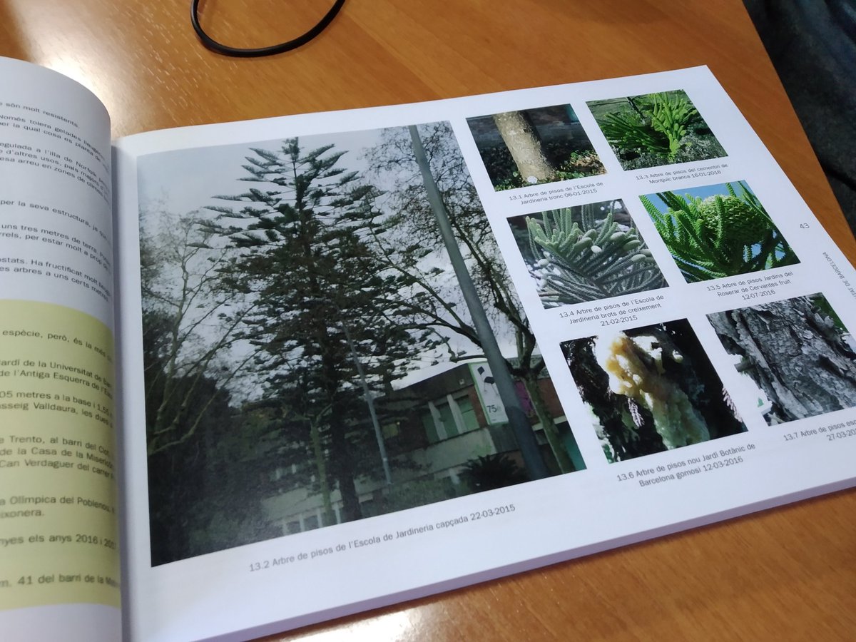 MeteoSants's tweet photo. 🌲🌳 "100 arbres singulars de la ciutat de Barcelona" és l'obra que Ricard Llerins presentarà aquest 11 d'abril a les @CotxeresCasinet. Al llibre trobem representats 18 arbres de #SantsMontjuïc.

Avui hem entrevistat al seu autor a @sants3radio. 🔊 ÀUDIO👇 https://t.co/dev9QEHie9 https://t.co/KhZ3nuyJal