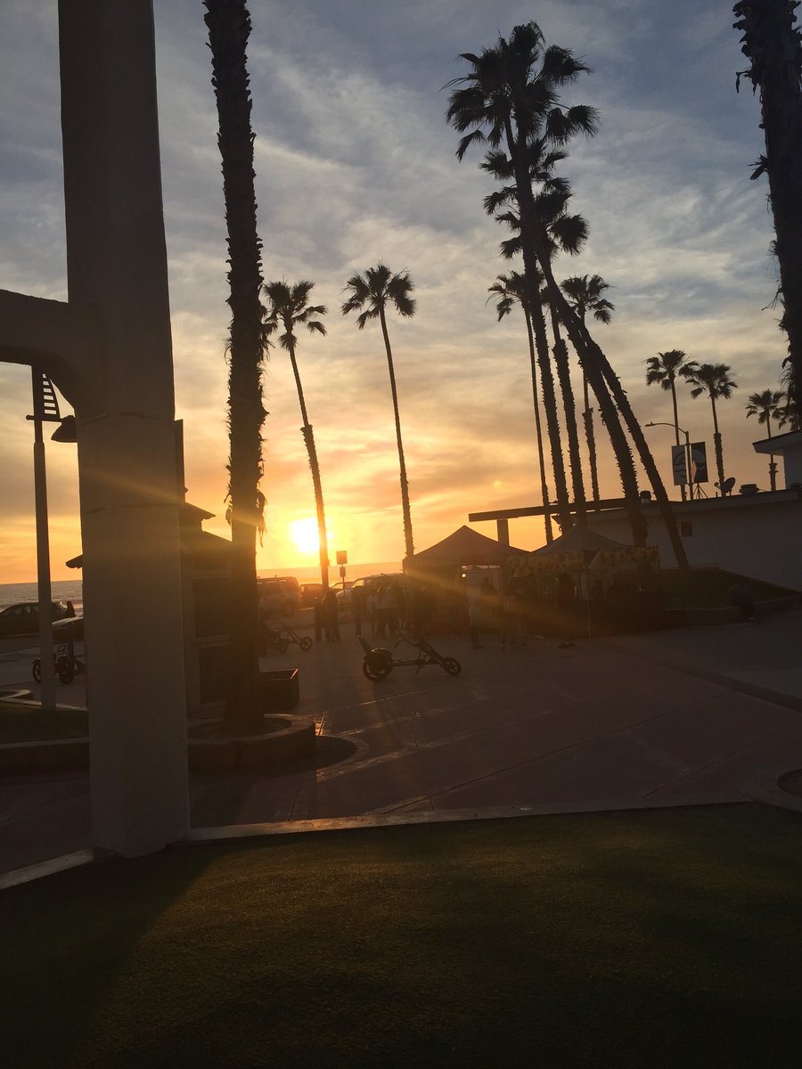 torious1041's tweet photo. My home😭🐬🌊 https://t.co/K8gPhAoFxW