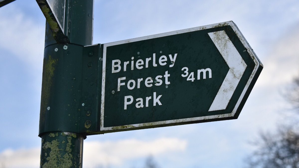 Brierley Forest parkrun tweet media