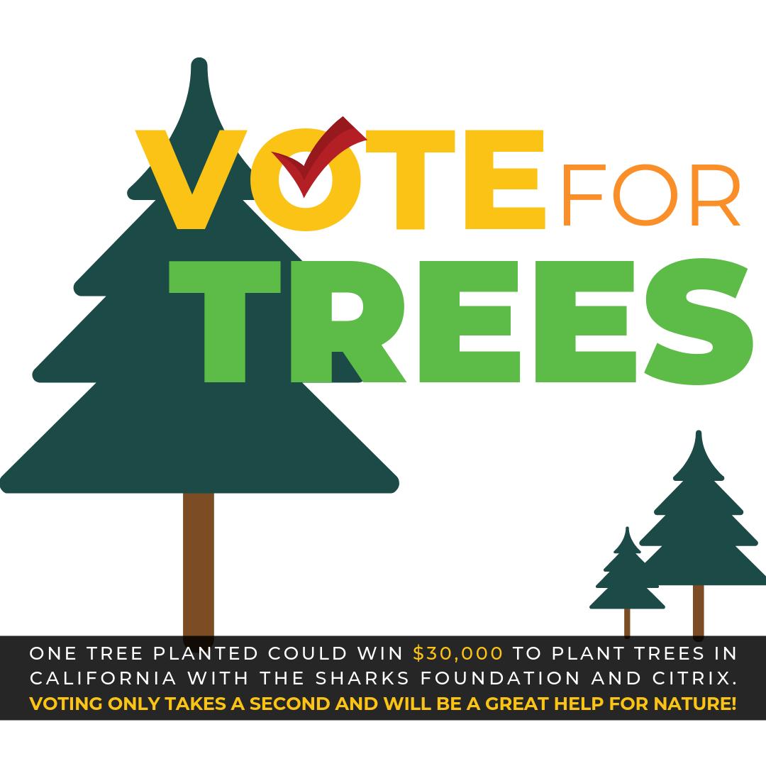 Want to help us plant 30,000 more #trees with the simple click of a button? Now's your chance! Vote for us here: sharksfoundation.wufoo.com/forms/fan-choi… 🙏🏽🌲