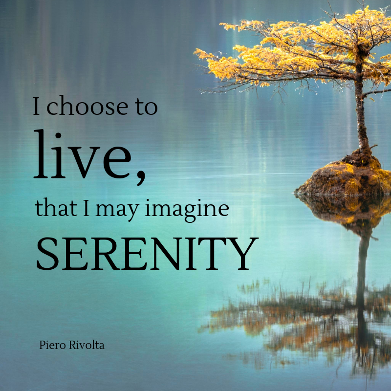 piero_rivolta's tweet photo. I choose the eyes that seek out beauty and with each passing instant, lose a drop of their liveliness. Too much reasoning leads to sadness –for you lose serenity. Start reading for #free https://t.co/qetR7DdAUQ

#nationalpoetrymonth #poesia #poetry https://t.co/n9f1C5ksn7