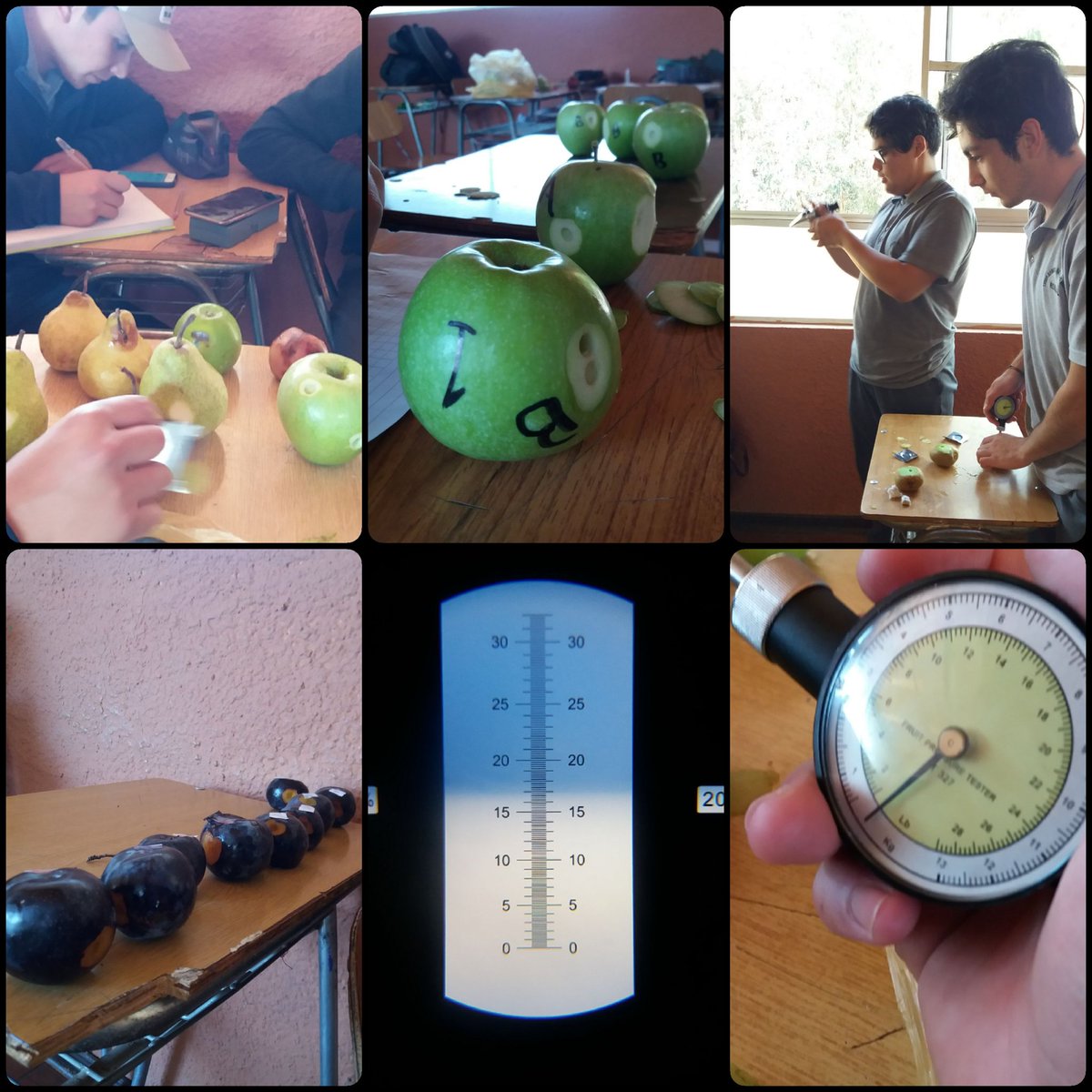 colegioagricNMV's tweet photo. #romeral medicion de indices de madurez en #pomáceas y #carozos como actividad de aprendizaje de asignatura de #postcosecha.
#refractometro #presionómetro #curicó #fruticultura #frutales @SoulxSol @leonardocanduri @pablomelladoj @CarlosAmunche @AvilaAmdres https://t.co/qdfabc1OXQ