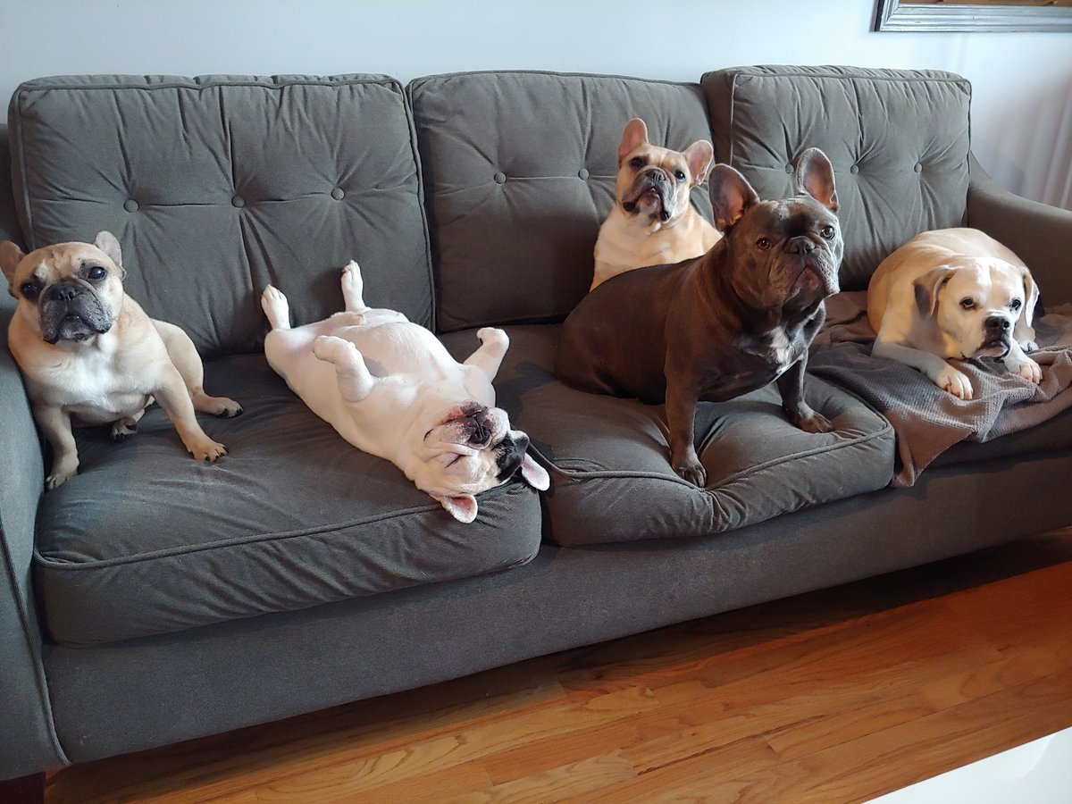 Manny & Friends tweet media