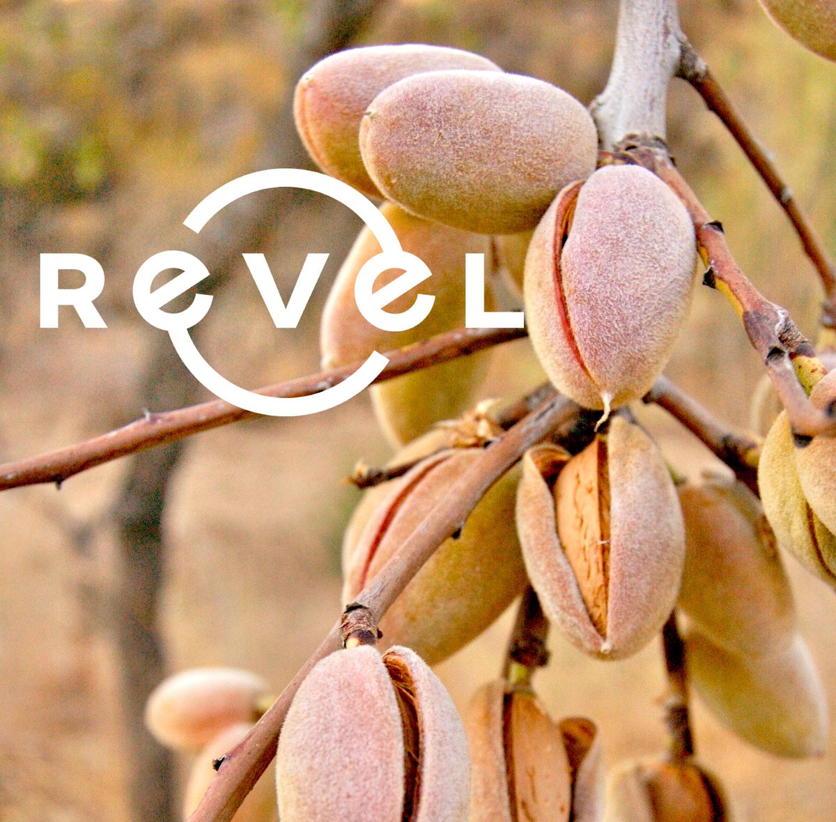 RevelEnergy's tweet photo. California grows a lot of almonds. The energy it takes to keep your farm running comes cheaper when you use solar from Revel Energy!
.
.
.
#almonds #ag #solarforag #RevelEnergy #solar https://t.co/6wXJXRNNGn