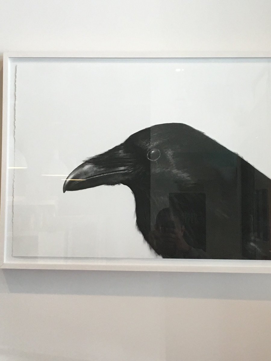 Sergio Avila (he/him) tweet media