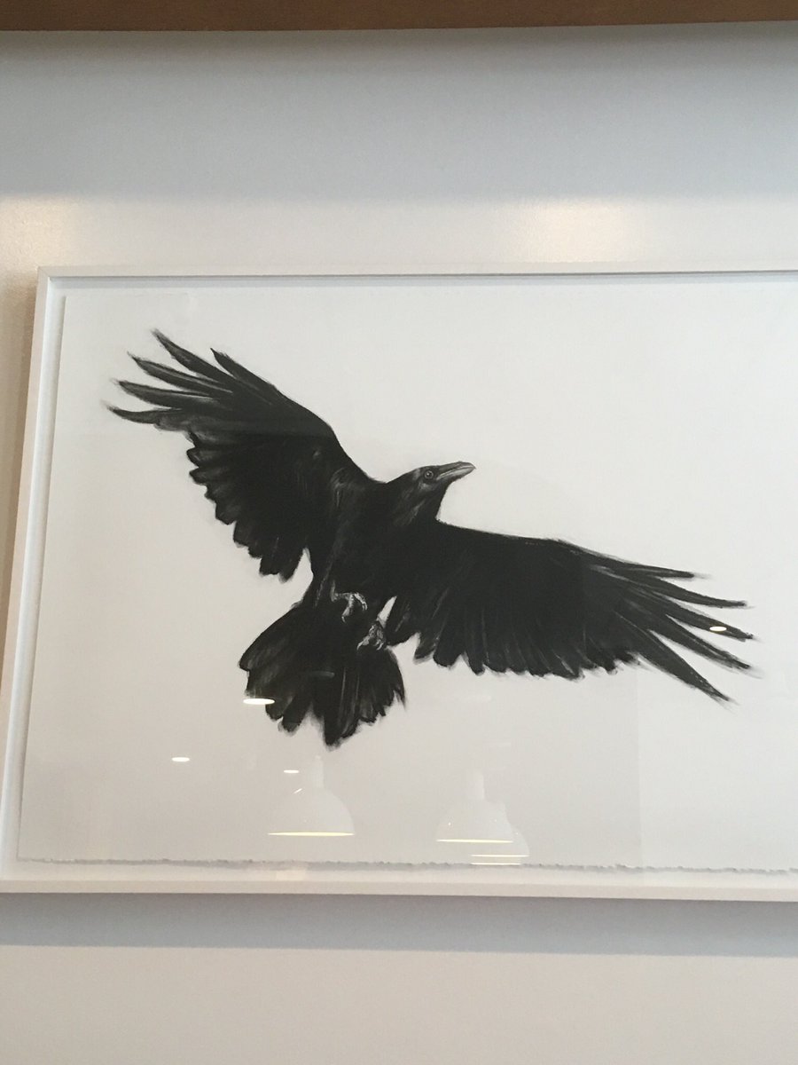 Sergio Avila (he/him) tweet media