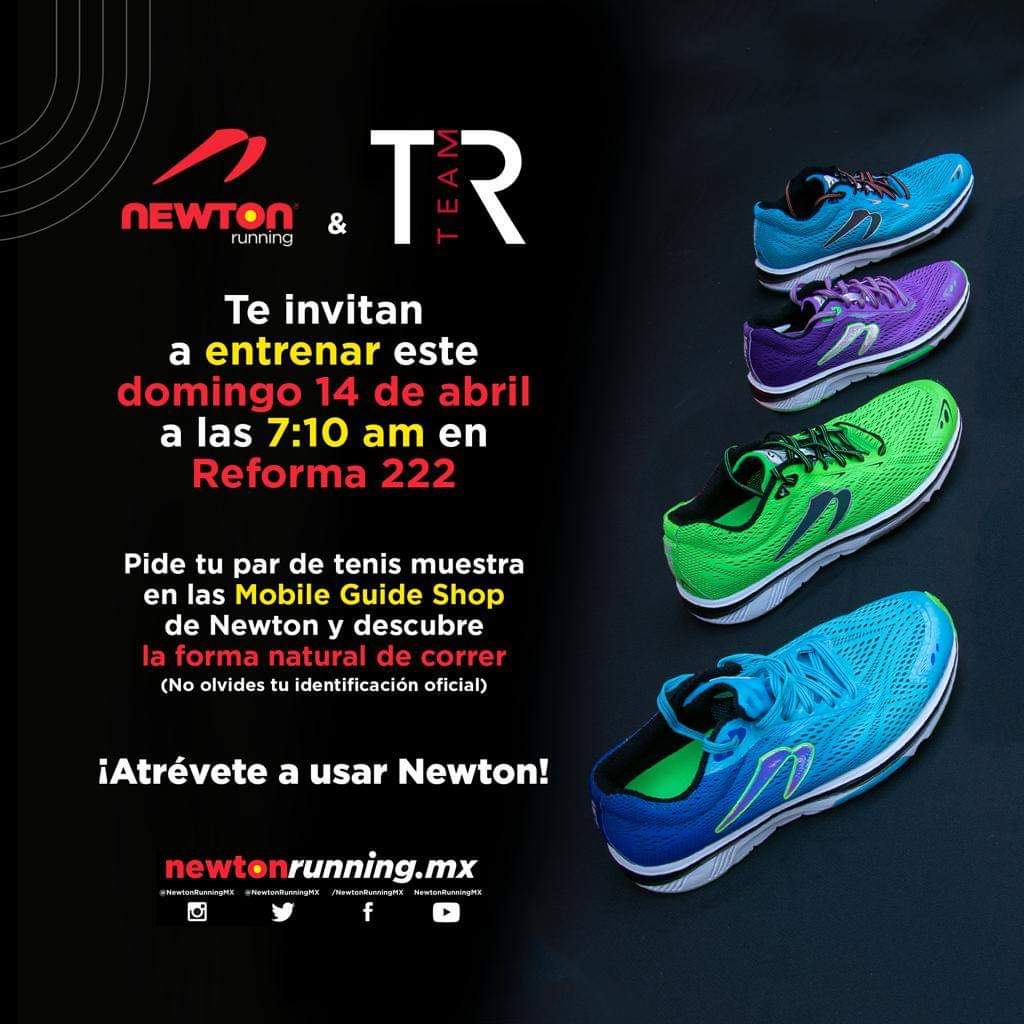 tenis newton running