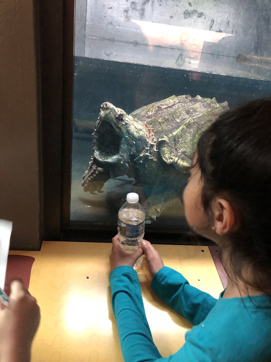MrsG_Richardson's tweet photo. Third grade had So much fun at the #nationalzoo! @Potowmack_ES https://t.co/RyWILhomql