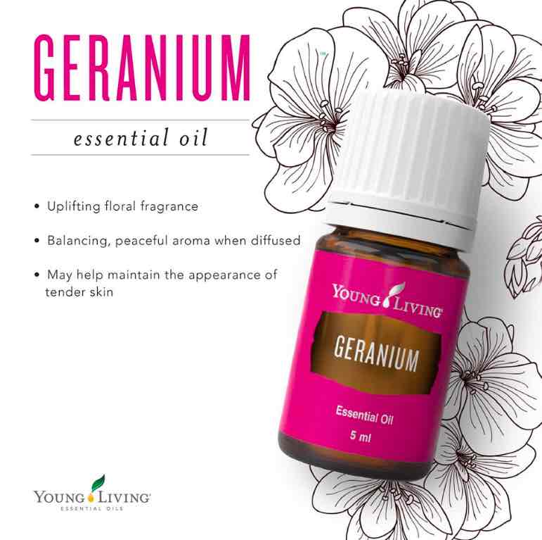 oilysparrow's tweet photo. Lately I’ve been reading about Geranium and I would really like to try it soon! Maybe in my next ER order? 👀👀
What oil or product would you like to try in your next order?
.
.
.
.
.
#essentialoils #essentialsparrow #youngliving #healthyliving #geranium #wednesday #yleo #wonder https://t.co/oYZ3h6QPUb