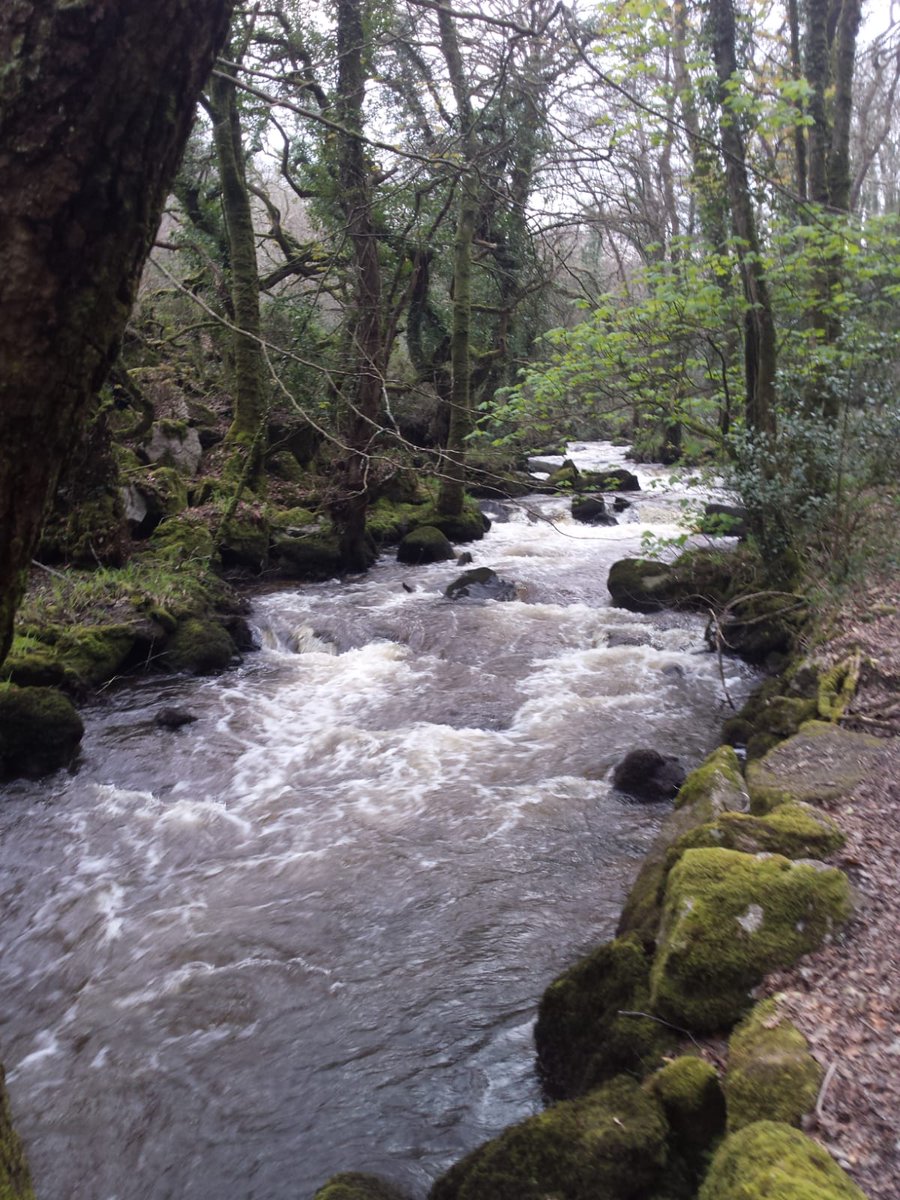 The Luxulyan Valley - peaceful, calm and beautiful <a href="/ILoveCornwallUK/">Visit Cornwall</a> #luxulyanvalley