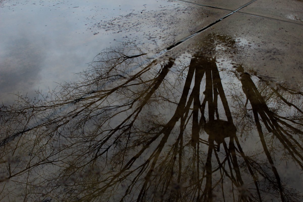Ensworth's tweet photo. The lens through which our photography students see the world is the focus of this #ENSArtCrawl. #JoyInTheArts #ThinkOutsideTheClass https://t.co/Nl05NkE0Ua