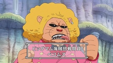 ワンピース ペコムズが死亡したのは本当 生存している可能性は Selvy