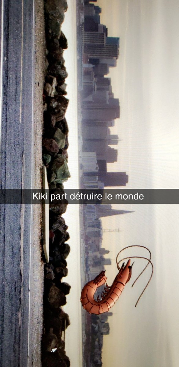AmoX91's tweet photo. Ah et pour ceux que j'ai pas sur snap, kiki c'est ça : https://t.co/nxszEjVbhO