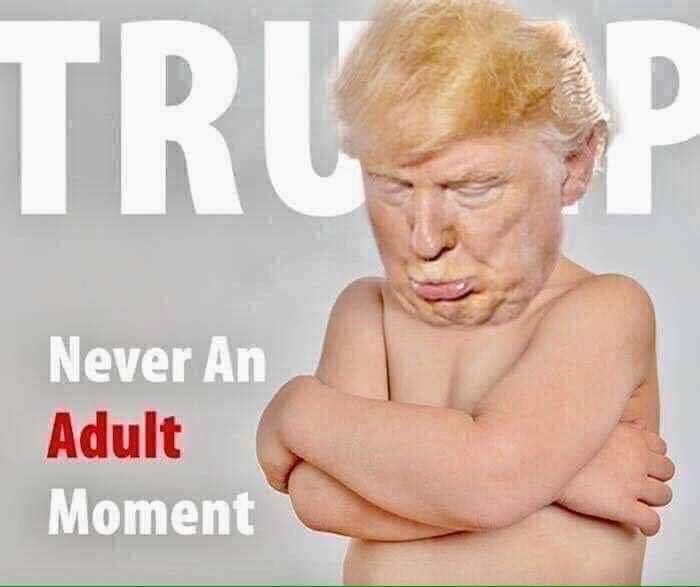Maryoxley3's tweet photo. @realDonaldTrump Dumpster you are exactly that. I have respect for the presidency office. But ZILCH for you. https://t.co/3iTwfFgPfV