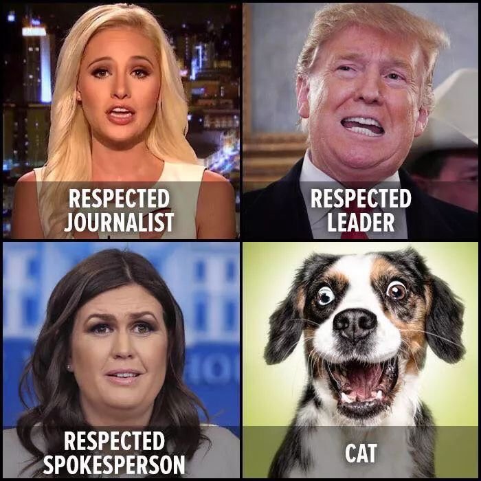 christine_w86's tweet photo. @WhiteHouse I notice they're down to ONE song that can be played at #TrumpEvents, anything else risks the artist SUEING the #WhiteHouse!
This is abouth the seventy five thousandth #Infrastructure ##ExecutiveOrder Trump has signed, or that the #WhiteHouse has announced;
& they ALL blow up! https://t.co/7G5N7oaWad