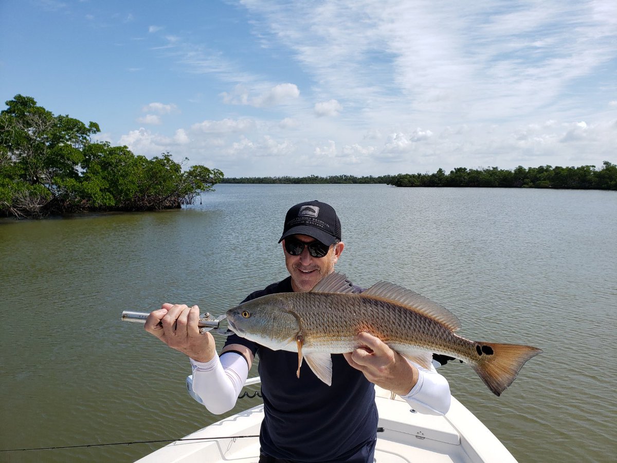 Howard Lindzon tweet media