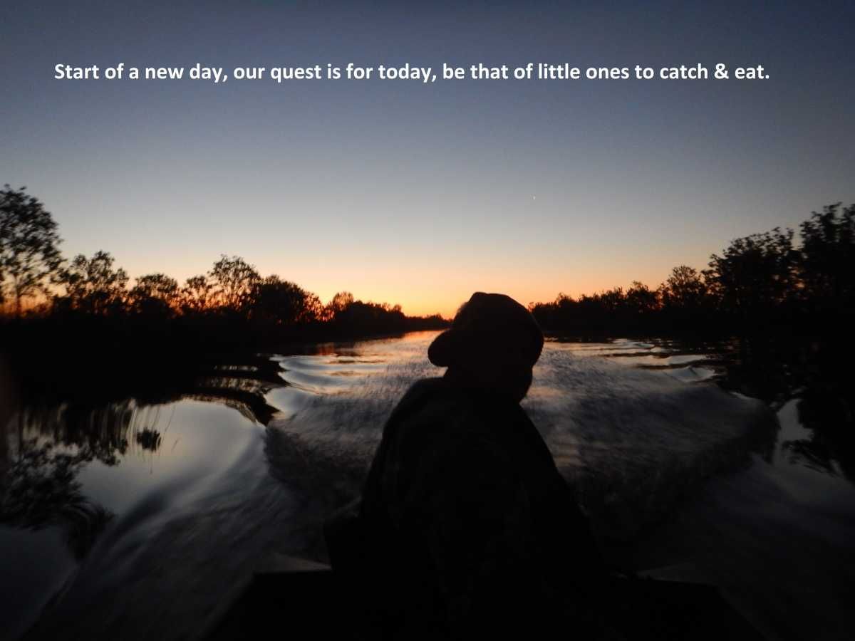 All RnR reports by   
Link:  rodnreel.com/report-author/… 
 Change of / in scales &amp; Tails