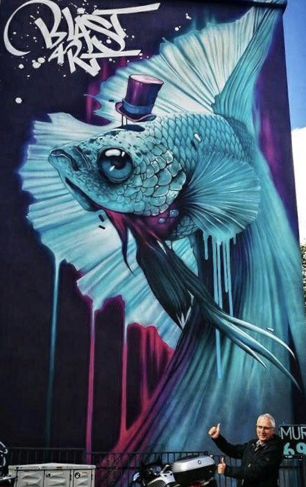 catomaro's tweet photo. Smart fish by Blast Art. #streetart #streetartistry #urbanart #urbanartistry #mural #urbanartphotography #spray #sprayart #spraypaint #graffiti #graffiti_art #graffitiart #streetartphotography #blastart https://t.co/ZaiHvEcXtI
