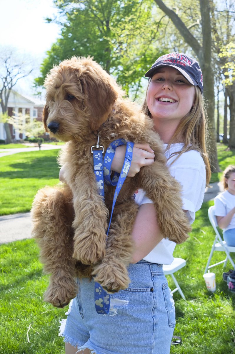 Kappa Alpha Theta Nu Chapter tweet media