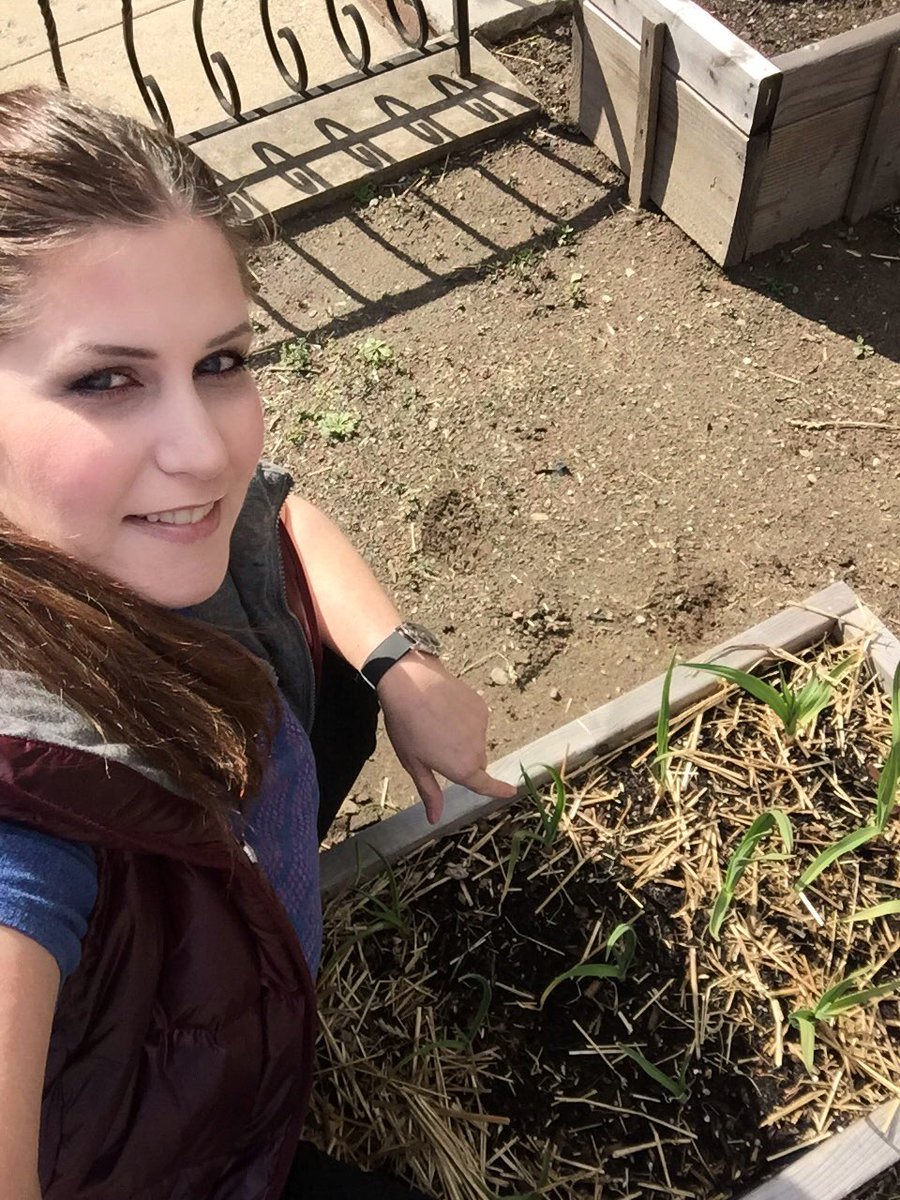 TiiuAshcraft's tweet photo. Outside on this beautiful day to see what is growing in the front #garden beds and the backyard. I have some garlic and chives coming in. Soon it will be time to plant new goodies. #Igrowstuff #GardenFeelGood #gardening #Plants4Health #glamgardener https://t.co/PJIu9qCZIb