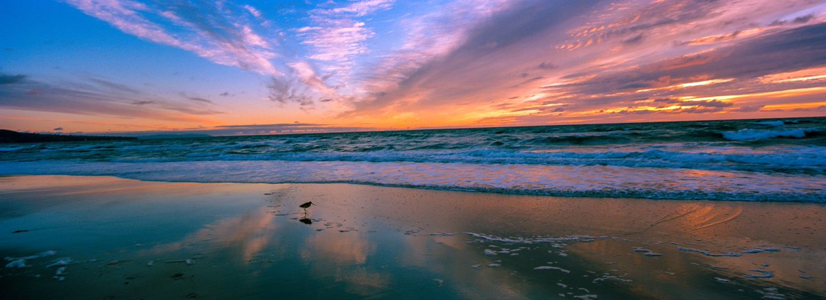 Sunset Reflection Hermosa Beach 
#hermosabeach #xpan2 #hasselbladxpan2 #hasselblad #xpan #30mmf5.6 #kodak #kodakportra800 #kodakfilm #film #colorfilm #analogphotography #filmphoto #filmisnotdead #filmphotographic #panoramic #xpanogram #panorama  #filmlife #filmshooterscollective