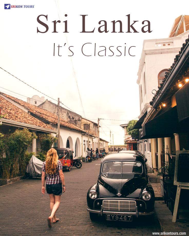 SrikonTour's tweet photo. #srilanka #galle #gallefort #srilankatravel #travelphotography #galledutchfort #instatravel #dutchfort #photography #instagood #lighthouse #travelblogger #dutch #holiday #visitsrilanka #travelling #trip #asia #explore #photooftheday #gallecity
Visit Us : https://t.co/Nxq2QjVTnh https://t.co/mUn9pJ2NHa