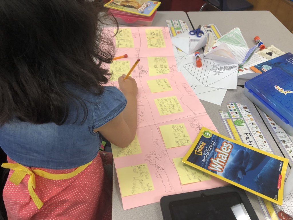 DinaJ414's tweet photo. First Graders Hard at Work!! Iβm proud of their effort, dedication and hard workπππ#ocebluejayed, #firstgraderocks, #proudteacher https://t.co/0jEGiCBFrW