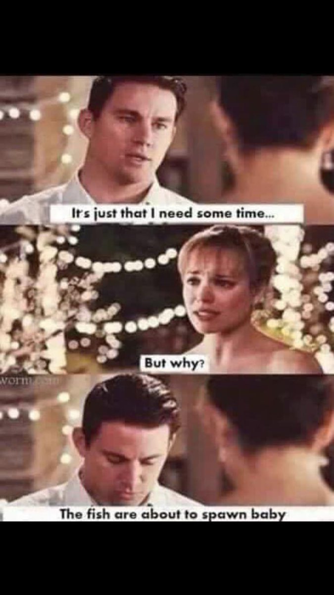 ANGLRfishingapp's tweet photo. It’s the most wonderful time of the year! The spawn is kicking off across the country.

Tag a buddy that loves catching spawning bass! ⬇️

#bassfishing #bassspawn #fishingmemes https://t.co/BGn5s0aSEd