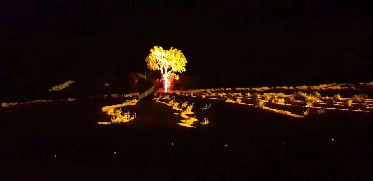 VeetheRockChick's tweet photo. #Geology meets #Art meets #IndigenousCulture #Parrtjima in #AliceSprings last night. Lights projected on the #MacDonnellRanges #HeavitreeFormation #AmadeusBasin https://t.co/R4IixHTM4C