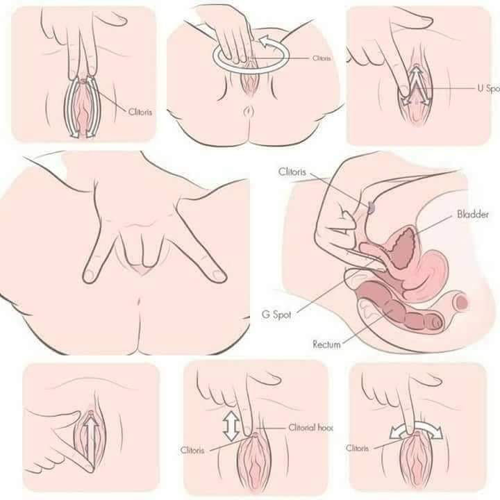 TrucosTrucos2's tweet photo. Cómo masturbar a una mujer https://t.co/uRdt0MGvQX https://t.co/9MHxwJCZ8q