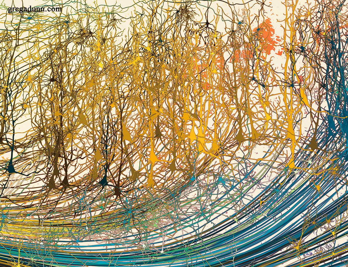 GDunnArt's tweet photo. Layer 5 Betz cells from the motor cortex. Their axons eventually join the spinal cord to execute movement #art #neuro #brain #mind https://t.co/Dkmkgrly6c