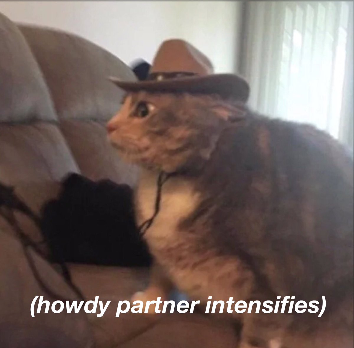 eric curtin (@_ericcurtin) on Twitter photo 