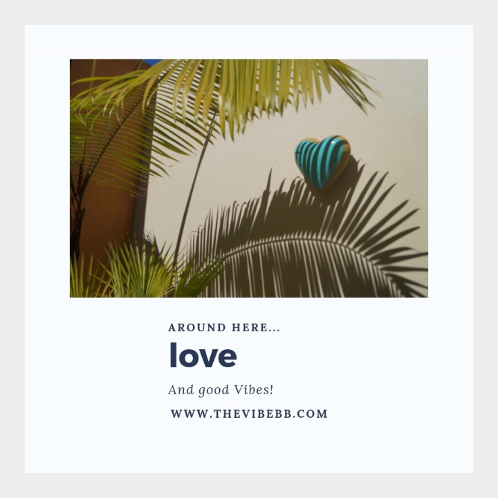 thevibebb's tweet photo. Lovely Wednesday at town 🌴
Visit us at Todos Santos and start feeling The Vibe! 
https://t.co/z3OW6S7czP
.
.
.
#thevibe #todossantos #bajasur #love #goodvibes #desert #palm #spring #springbreak https://t.co/zZTgMoCPi2