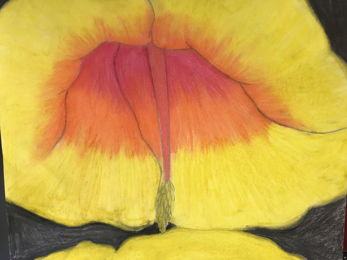 KatyKingTheArt's tweet photo. Flowers are springing up by our 7th Grade artists! All inspired by artist Georgia O’Keeffe-proud of our first crop of flowers completed, can’t wait to see the rest. Early finishers made smaller versions for Rockdale Piedmont Hospital- #RCPSWorldClass #RCPSGoodNews @S_Stanton1023 https://t.co/ieoGp8v3Ng
