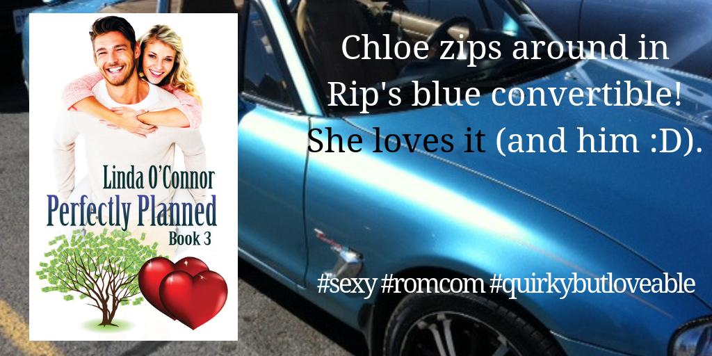 LindaOConnor98's tweet image. Rip has a bad feeling about the sexy spark plug on his trail, but can he resist Chloe&apos;s PERFECTLY PLANNED #romance? amazon.com/dp/B017GGC346
#police #romcom