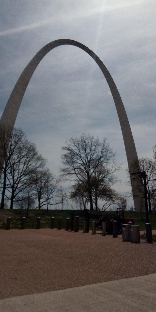 Mary Swain tweet media