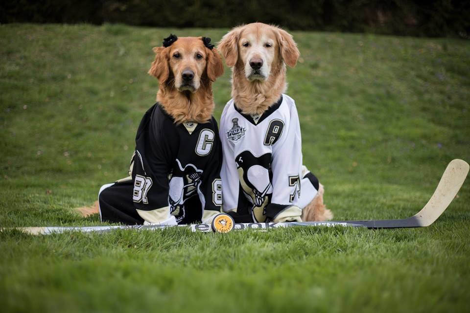 chubsham's tweet image. Let’s Go Pens!!! @penguins @MarioLemieuxFdn