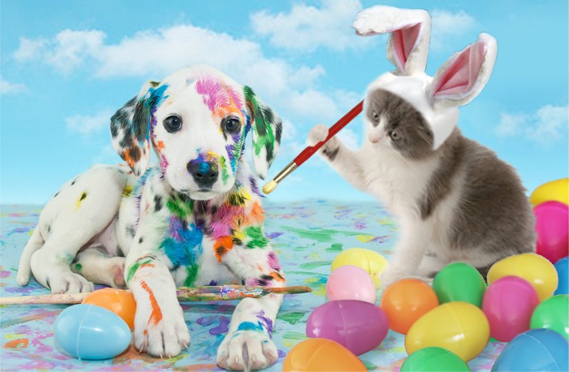isdbuzz's tweet image. If you know any-bunny still getting ready for Easter, tell them about #InstantSavingsDiscount's great ways to save on everything you need for the holiday and everyday!

isdbuzz.com