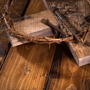 SPCPSR's tweet photo. Three Holy Days: The Triduum https://t.co/1DcLSxxf4U via #Pflaum
Resources to help children understand and participate in the many celebrations of the #Triduum. https://t.co/dlKV6cJ0JK