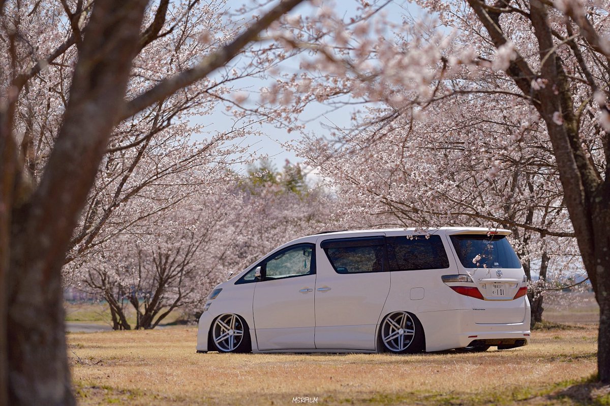ExMsr's tweet photo. #桜
Clean beauty https://t.co/RDZtraiPX1